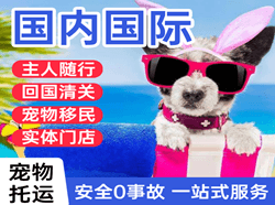 宝安机场快运国际宠物托运 【国